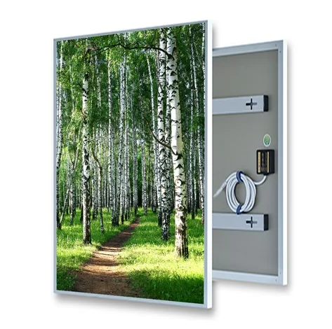 

EnjoyWarm 2019 new product far infrared heating panel 720w