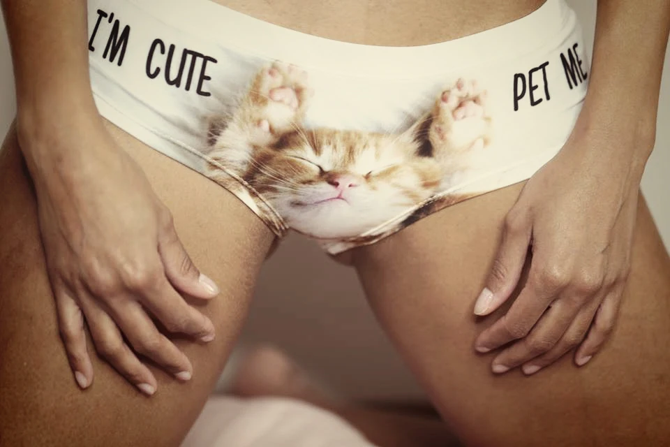 41091 im cute kitty (000)