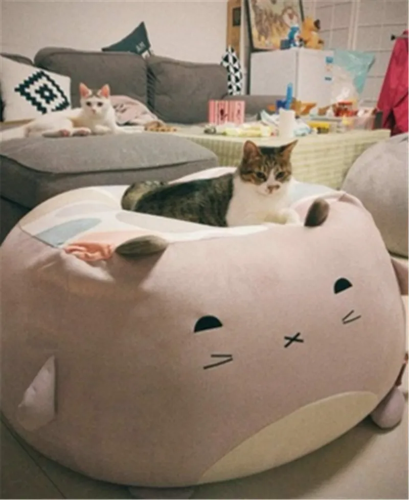 chair sofa7