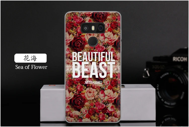 lg g6-19