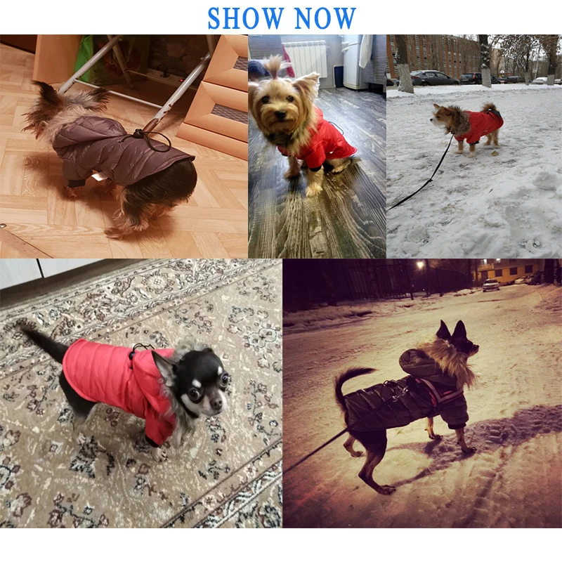Hoomall, пальто для собак, хлопок, зимняя теплая одежда для маленьких собак, для чихуахуа, мягкий меховой капюшон, куртка для щенков, одежда для собак, 5 размеров