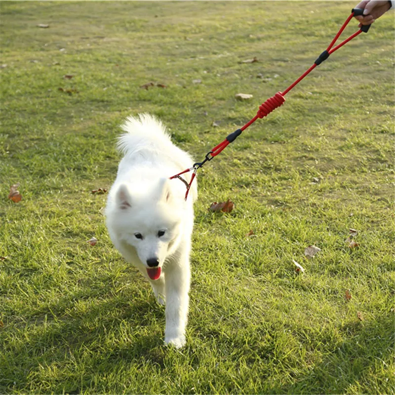 

Dog Leash Harness Set with Collar & Heavy Duty Denim Dog Leash Perfect for Dog Daily Training Walking Running Drop Shipping