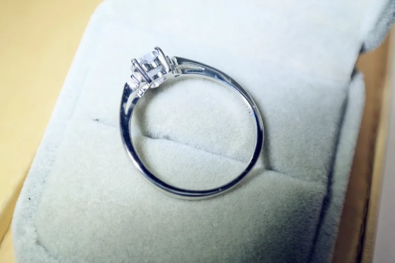 2966000541_850876792