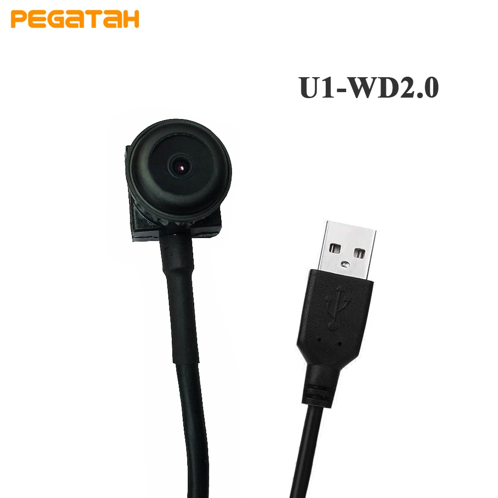 U1-WD2