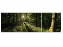 3 Piece Leaves Forest Tree Sunshine Painting Canvas Print Room decor poster Picture Canvas Wall Art Frame QJFJ3-56 3 Piece Leaves Forest Tree Sunshine Painting Canvas Print Room decor poster Picture Canvas Wall Art Frame QJFJ3-56