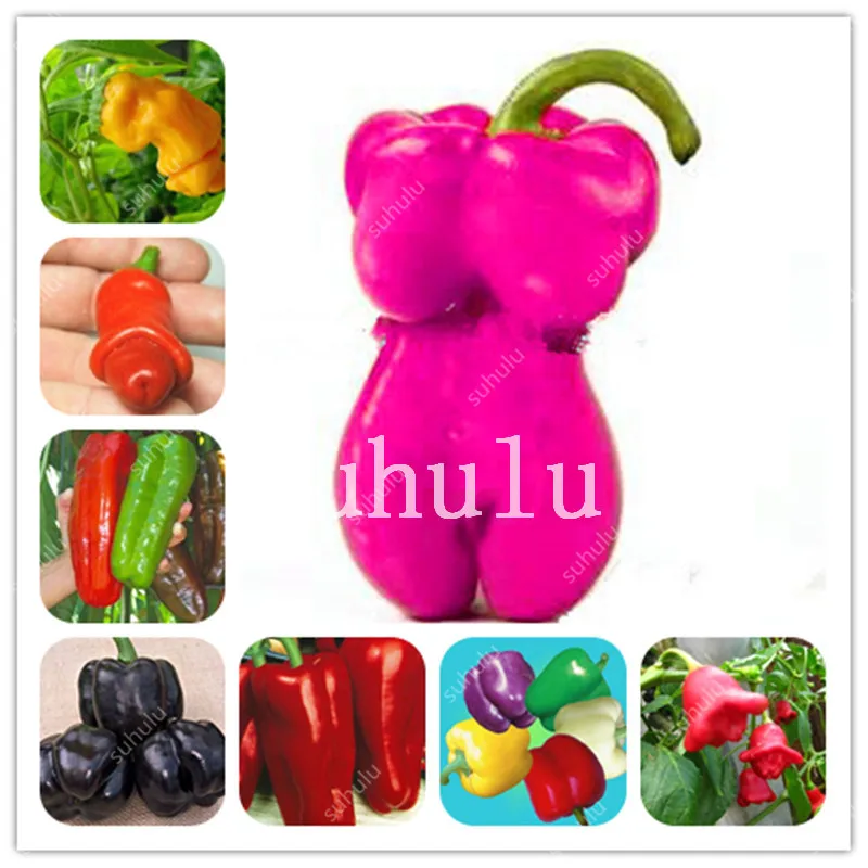 

New Arrival! 1000pcs Hot Pepper Bonsai ,High Quality Sweet Bell Chill Paprika Plant Easy To Grow, Rare Shape Home Garden Bonsai