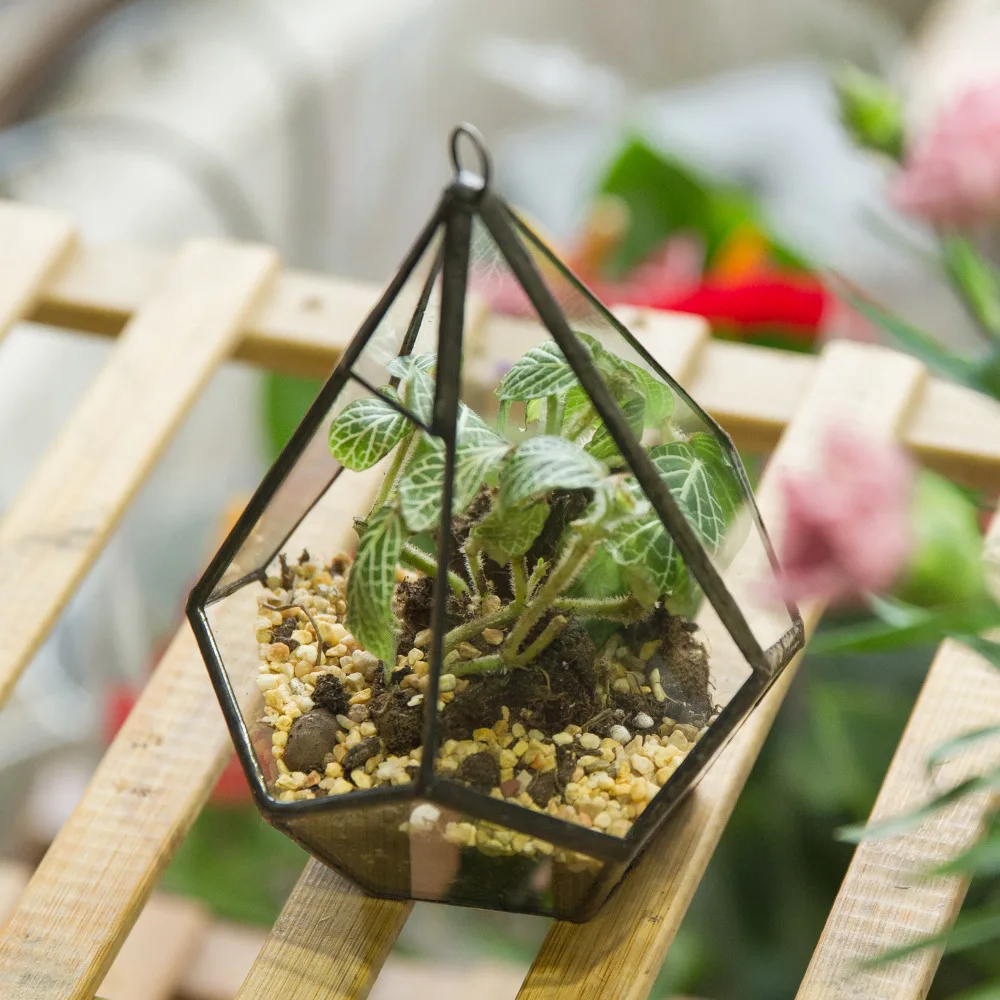 Художественный подвесной прозрачный стеклянный Пятигранный Алмазный суккулентный папоротник цветочный горшок геометрический Террариум цветочный горшок DIY цветочный горшок с петлей