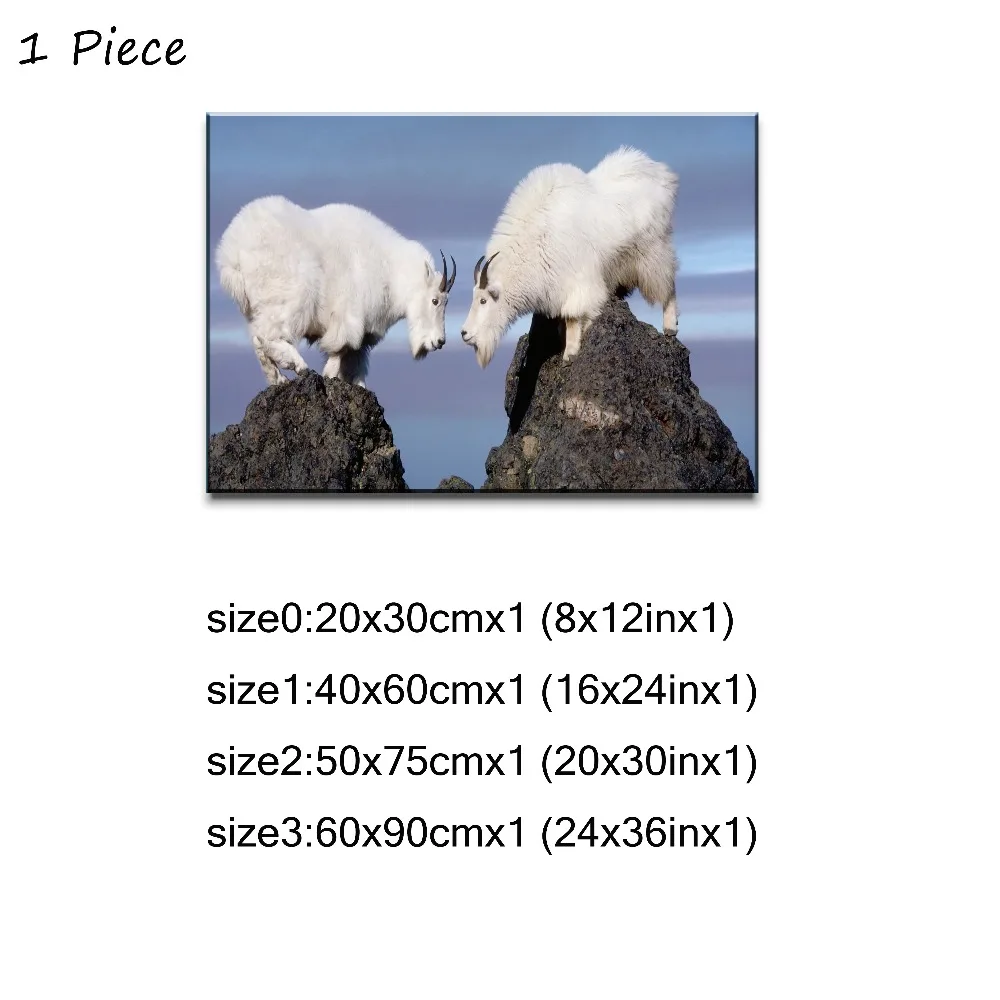 1P- 