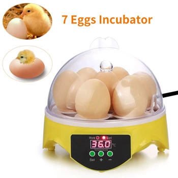

Mini Digital Egg Incubator 7 Egg Capacity Incubator Brood Machine Chicken Duck Hatcher Electronic Automatic Incubator Tool