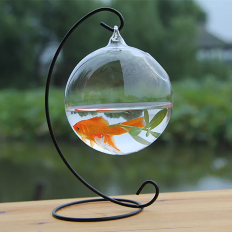 

Diameter=12cm Metal Stand Glass Terrarium Aquarium Home Decorative Handmade Hanging Fishbowl Round Bottom