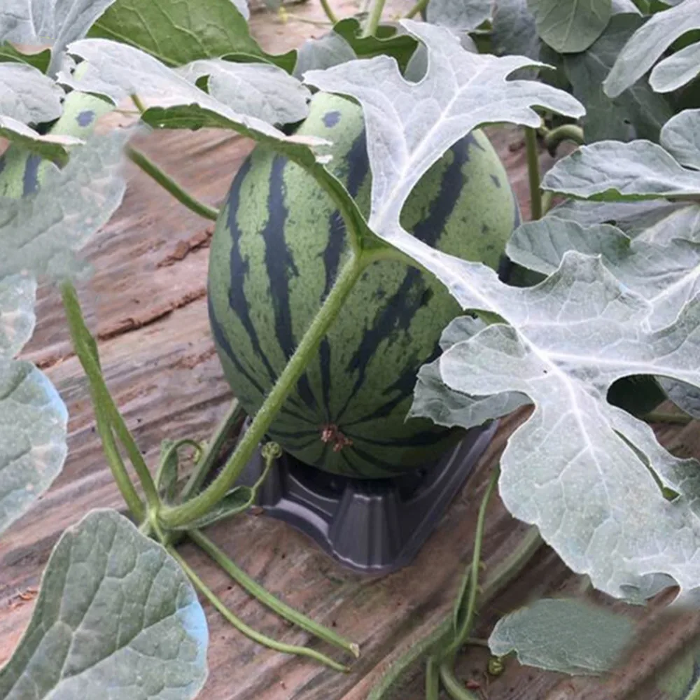 24 шт пластиковая Дыня Поддержка растений садовая Колыбель предотвращает от гнить для арбуза тыквы фруктов