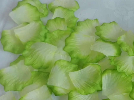 2000 шт./лот светло-зеленый с кремовыми шелковыми лепестками роз для свадьбы