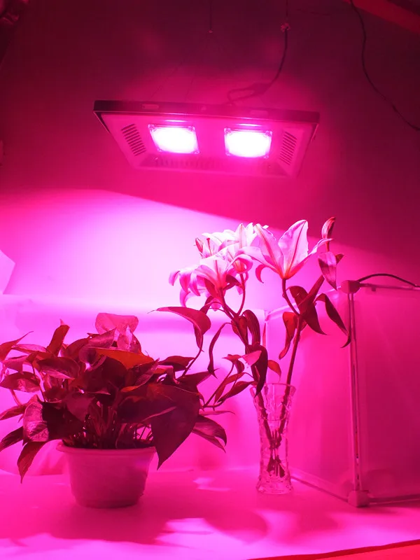 HY светодиодный прожектор светодиодный свет для выращивания на открытом воздухе IP65 водонепроницаемый высокой мощности 30 Вт 50 Вт 100 Вт США штекер для наружного цветение растений
