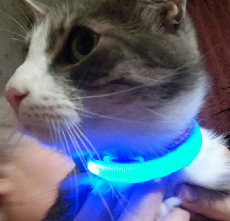 led cat collar