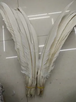 

Wholesale 10 PCS / lot 50 to 60 cm in 20 to 24 inches rare white eagle feather free shipping