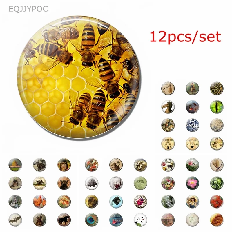 

Cartoon Animal Fridge Magnet Whiteboard 12pcs/set 25MM Glass Cabochon Magnetic Refrigerator Sticker Cute Home Decor Teacher Gift