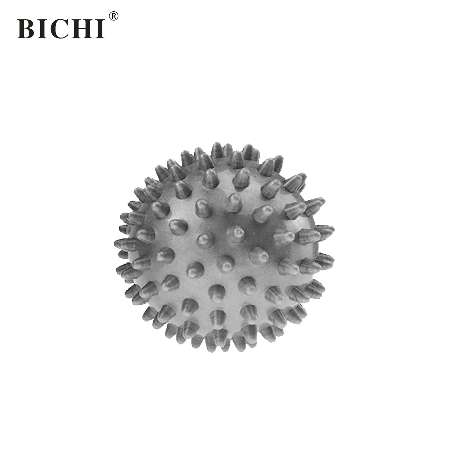 BIJS107 (1)