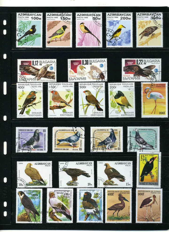 

New 50Pcs/Lot Bird Parrot Eagle All Different From Many Countries NO Repeat Unused Postage Stamps for Collecting