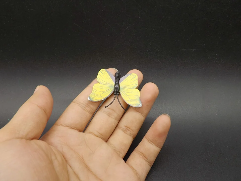 I259-Butterfly (3)