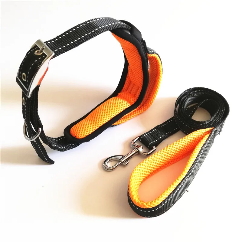 Dog Collar and Leash Set (15)