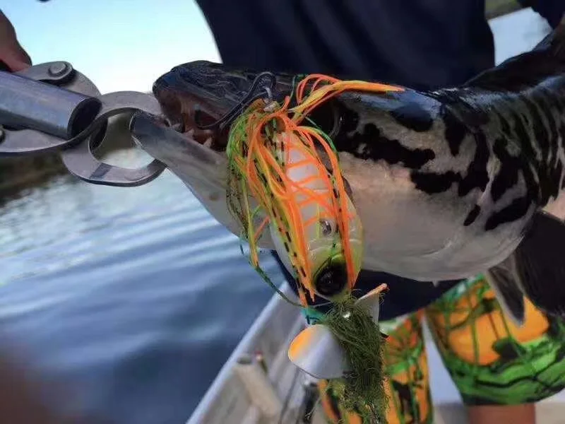spinner bait