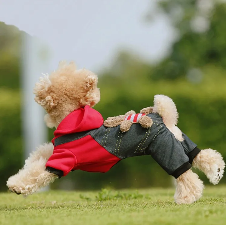 Dog clothes 13