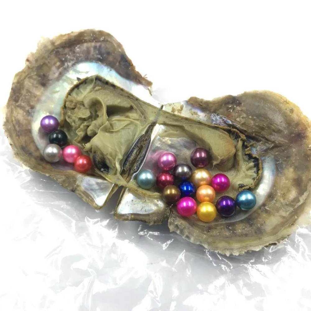 15 цветных круглых жемчужин в морской воде устрицы, Akoya Мини монстр устрицы с 15 жемчужинами внутри случайный микс цветов рождественский подарок ABH903