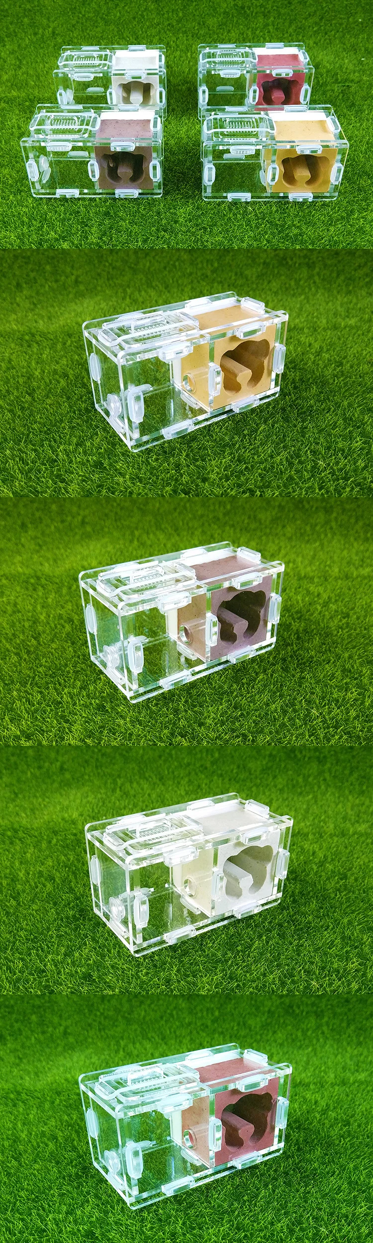 ant-nest (2)