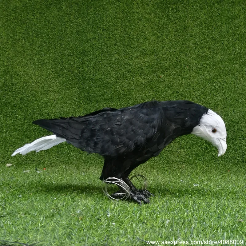 

wholesale artificial Eagles black feather birds creative Cosplay display halloween props free shipping