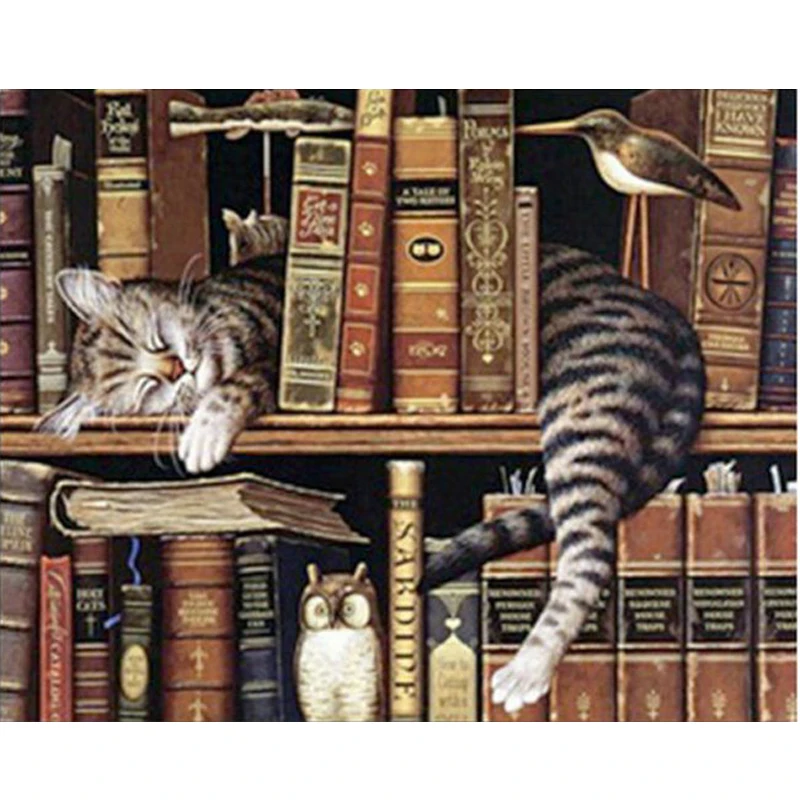 

5d diy Diamond painting Cross Stitch Set Diamond Embroidery Bookshelf Cat Picture Diamond Mosaic Pattern diamond mazayka 5d Gift