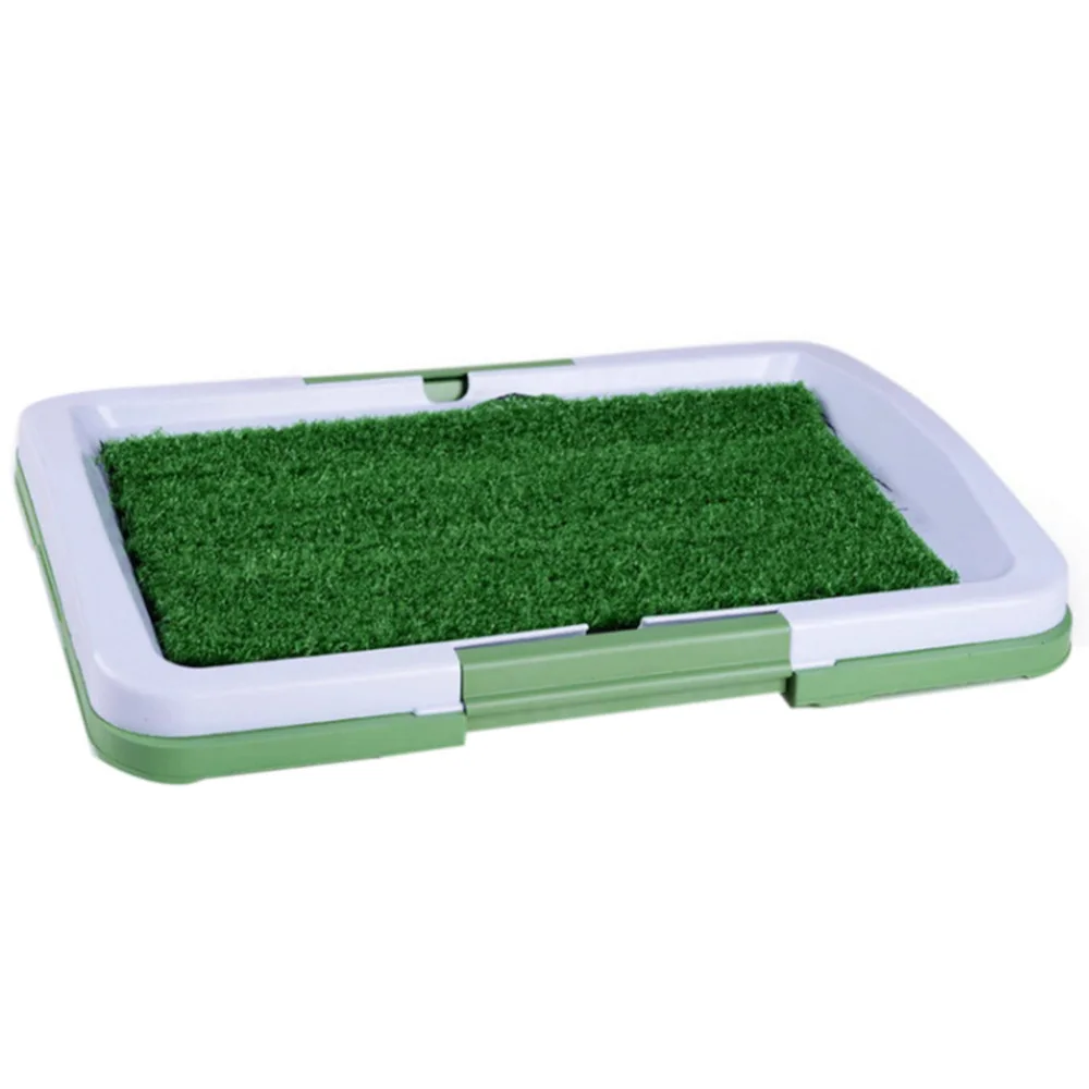 dog toilet  (8)