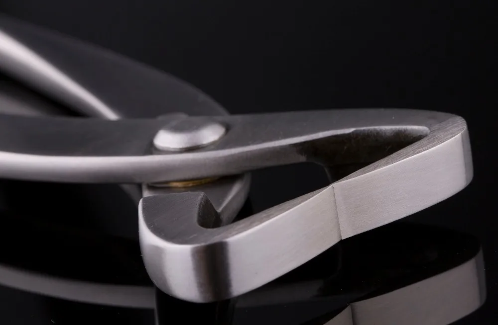 Skup Rozdzielacz rozgałęźnika 205 mm rozgałęźnik standardowa jakość poziom 3Cr13 narzędzia bonsai ze stali nierdzewnej wykonane przez TianBonsai