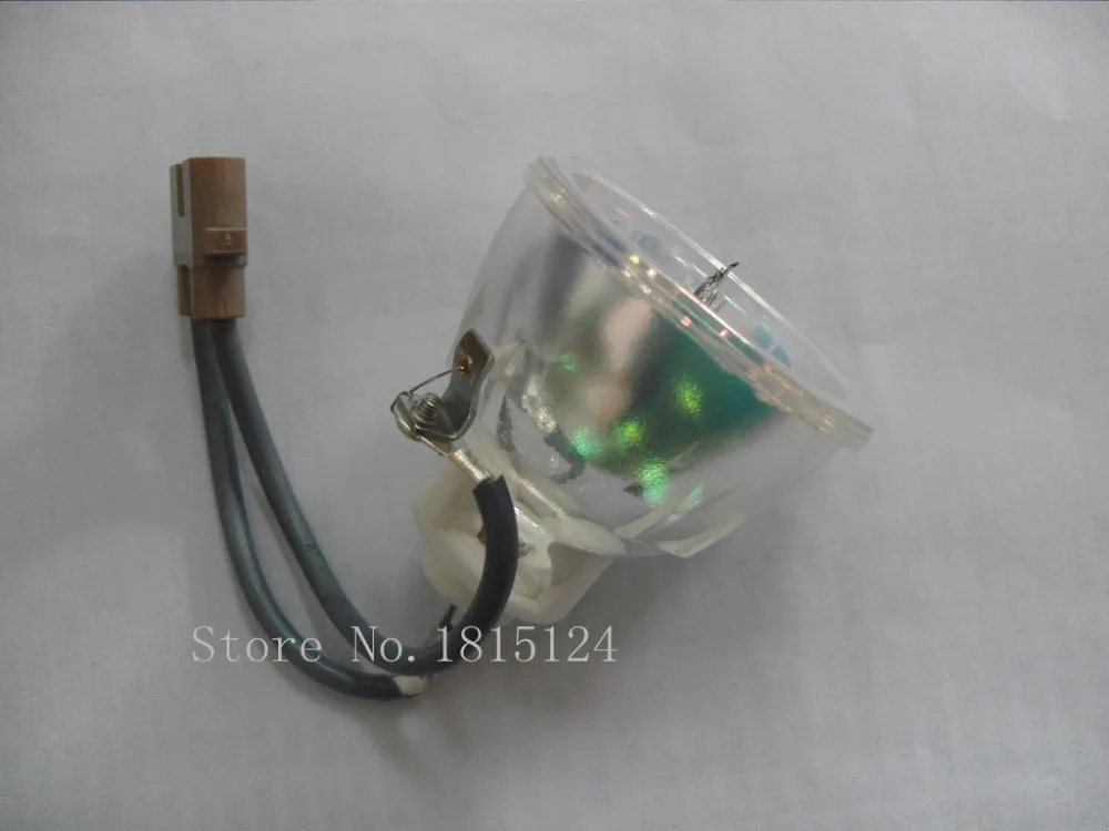 SDC10717
