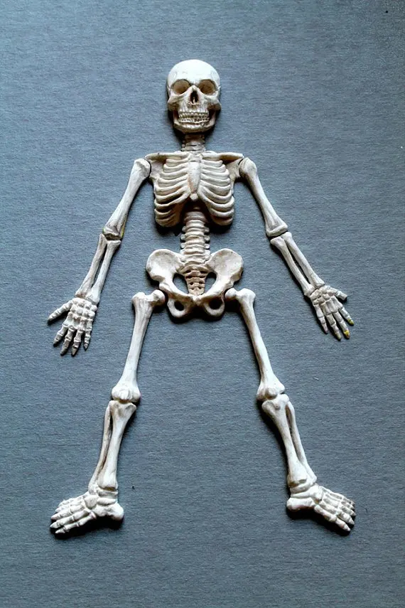 Skeleton Halloween Skeleton Body Fondant Mold Silicone Cake Decoration Handmade Clay Resin Cake Tools Moulds PRZY 001 Radom