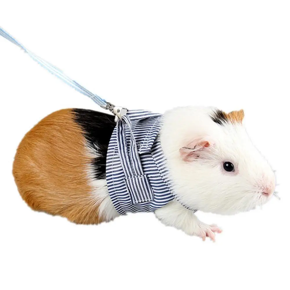 

Small Pet Harness and Leash Pet Cat Dog Vest Harness Cotton Cloth Hedgehog Small Pet Chest Back Hamster Outdoor Leash