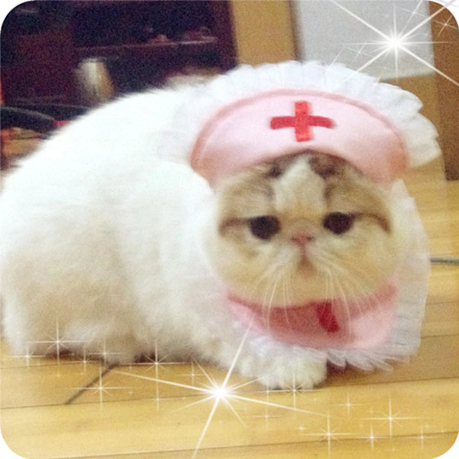Pet Clothing Cats Dress Pet Clothes Cat Nurses For The Cat Costume