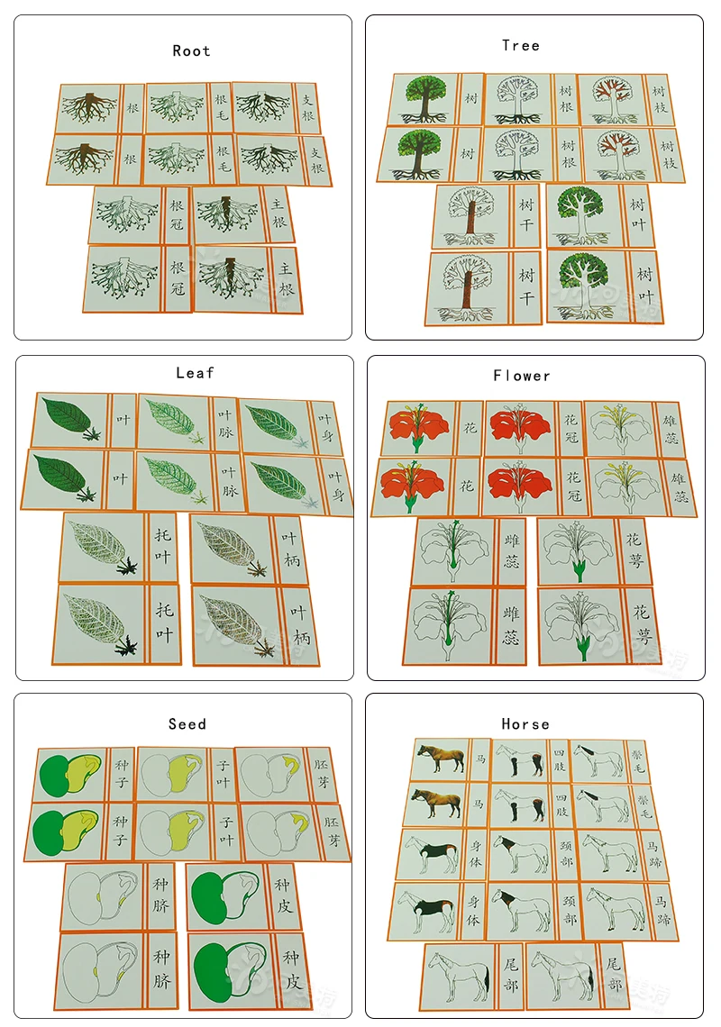 Botany лист шкаф паззлы деревянная коробка Монтессори биологические Обучающие игрушки Образование для детей дошкольного возраста материалы
