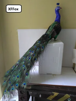 

real life colourful peacock model foam&feather simulation beautiful long peacock bird gift about 120cm xf0332