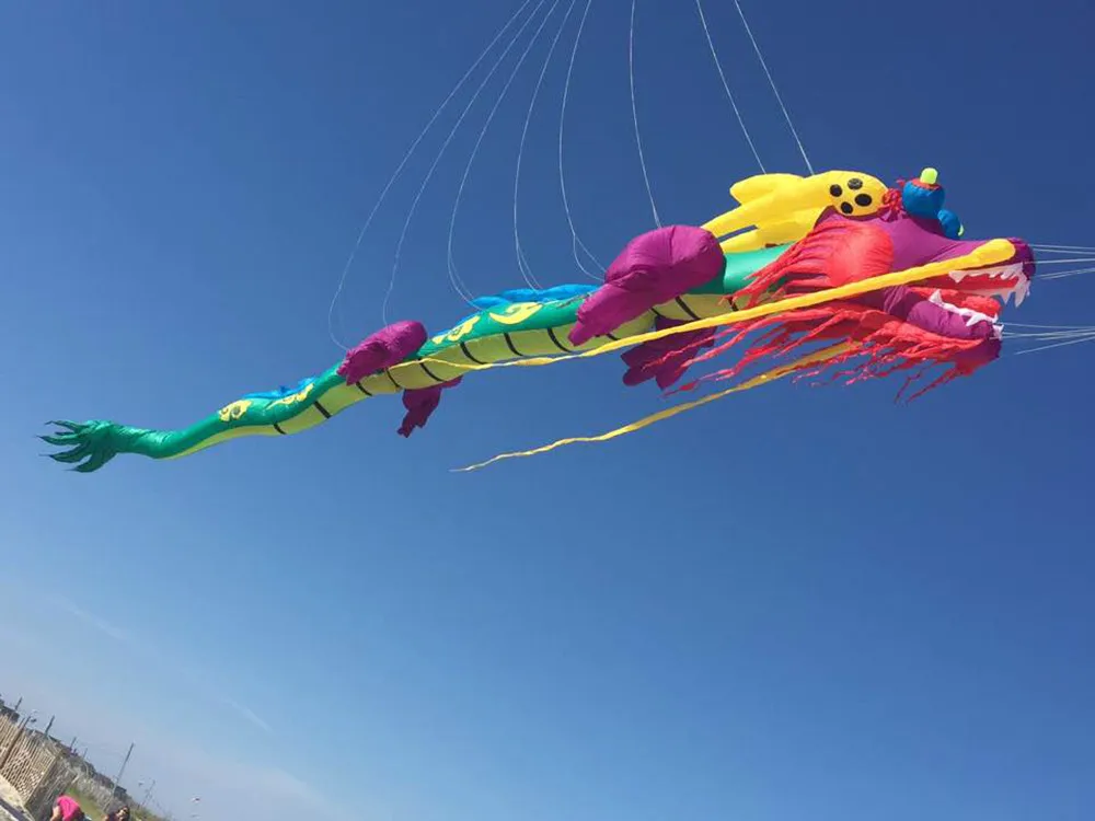 Надувной воздушный змей для шоу драконов от фабрики Weifang kaixuan 30 м|kite factory|show kitekite