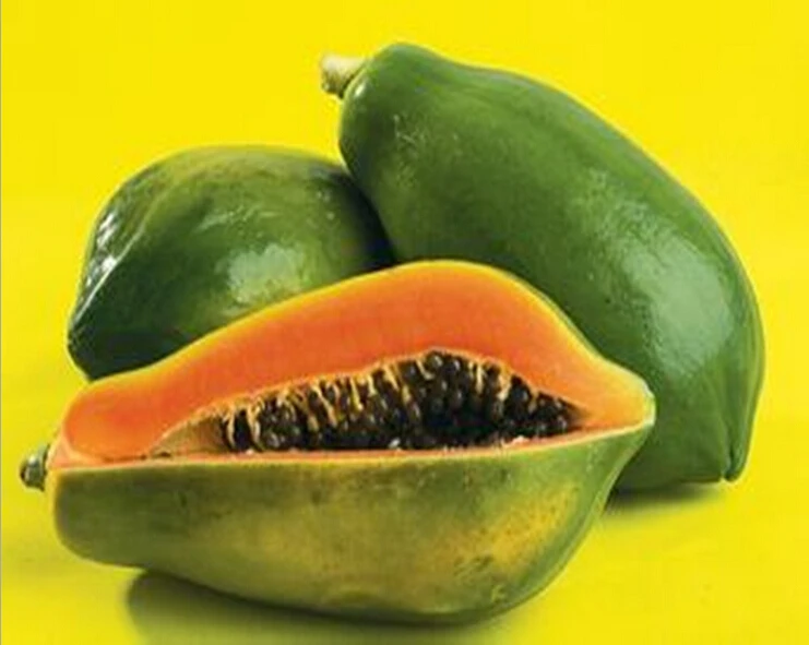 Hot sale Organic papaya juice powder 100 pure natural papaya powder