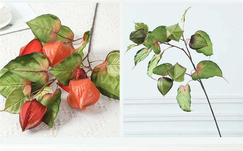 11224609285_1554594402