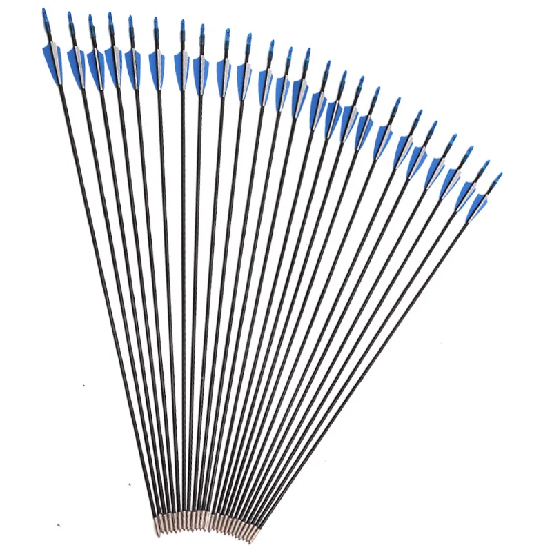

12/24pcs 31" Archery Fiberglass Arrows Spine 500 OD 6mm use Recurve Bow for Hunting Vane 2 blue 1 white