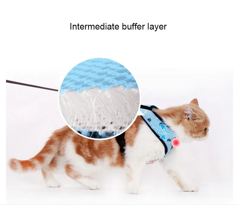 Navy Cat Harness And Leash Set (7)