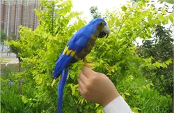 30 см синий цветные перья попугай птица МОДЕЛЬ пены и перья пастырской ремесло, украшения дома подарок a2009