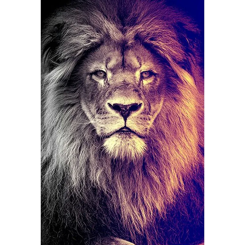 86eb45993733f7175d316d3eac3b437d--leo-wallpaper-iphone-wallpaper-lion