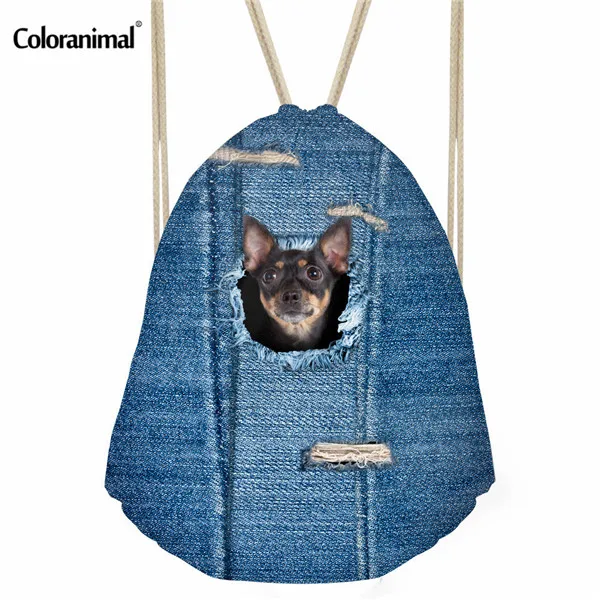 Coloranimal синий деним Кошка Собака печати маленький рюкзак женский мочила милый путешествия софтбэк мужская сумка на шнурке Дети Мальчики Школа сумки - Цвет: H317Z3