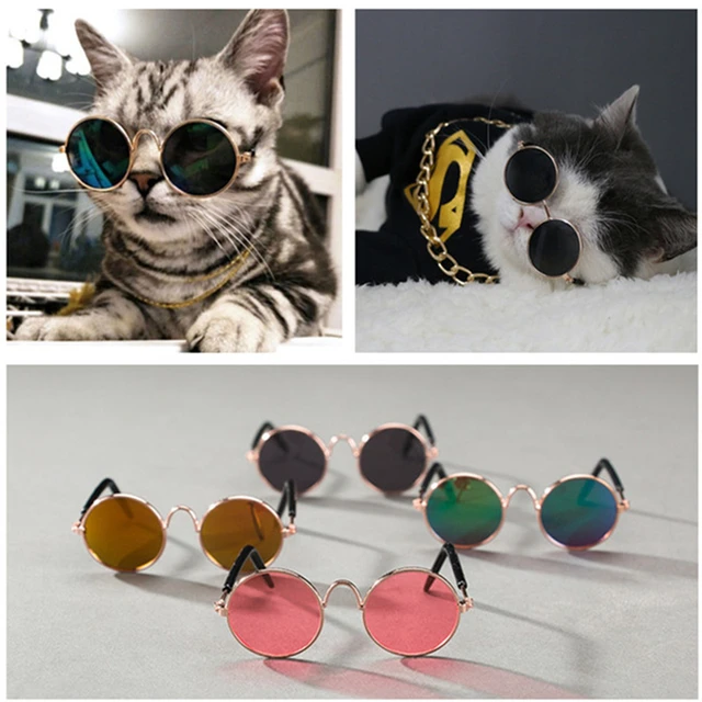 Fashion Pet Dog Cat Gles For Products Eye Wear Fashion Pet Dog Cat Gles For Products Eye Wear Sungles Photos Props