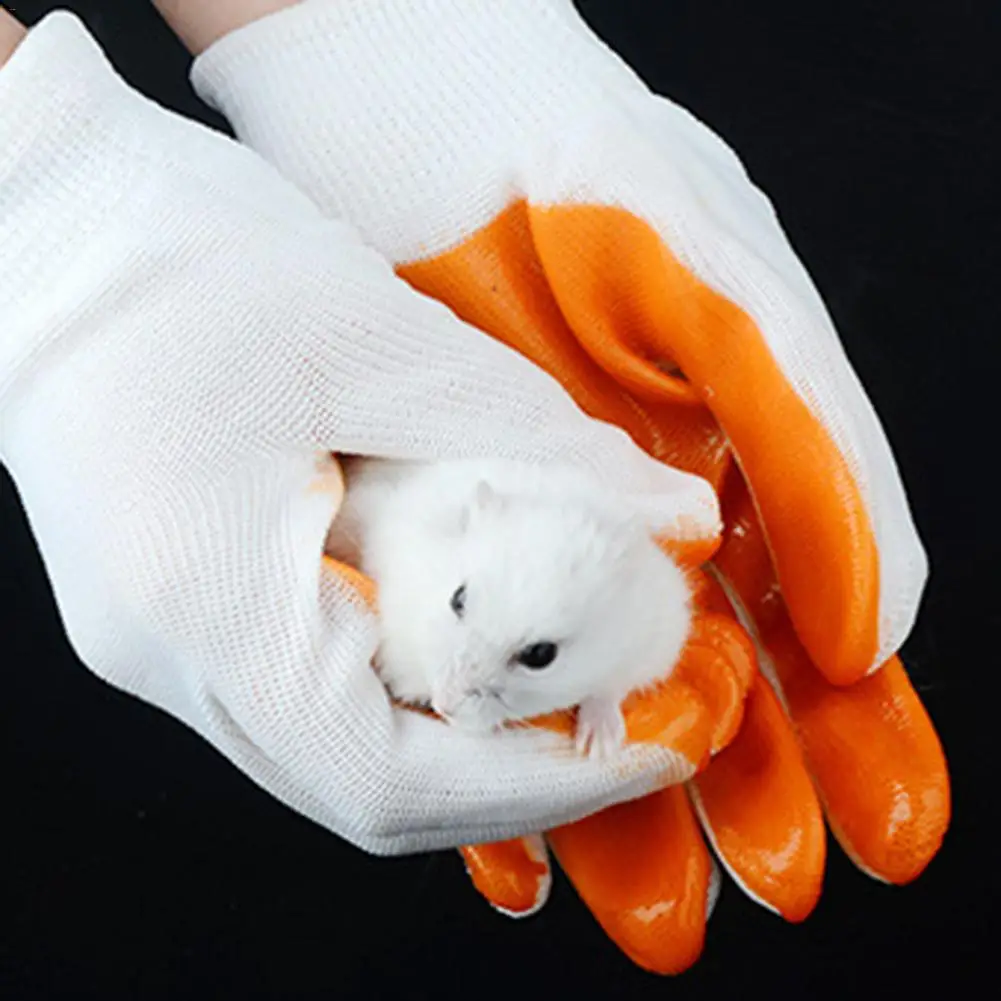 Small Pets Bite-proof Gloves Smash-proof Hand Protection Gloves Anti Bite From Hamster Rabbit Chinchillas Guinea Pig Small Pets Bite-proof Gloves Smash-proof Hand Protection Gloves Anti Bite From Hamster Rabbit Chinchillas Guinea Pig