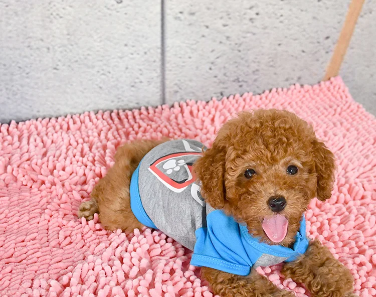 8969547450_919338936