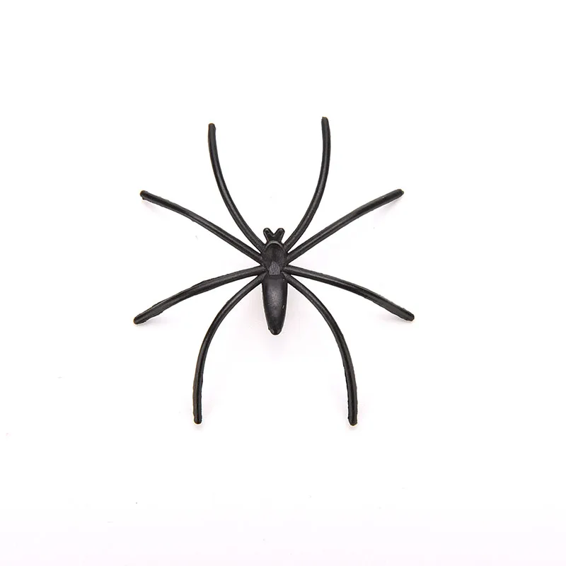 plastic spider toy